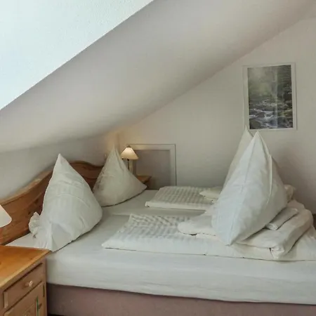 Cozy In With Kitchen Apartament Viechtach